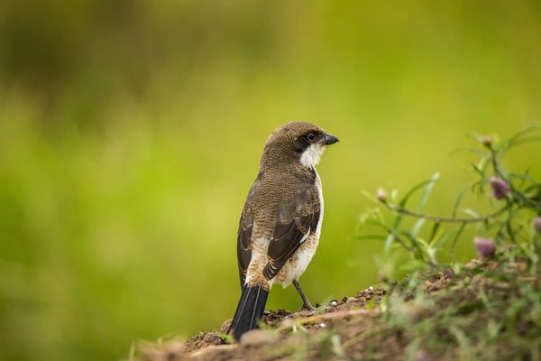 Comment assurer la conformité fiscale de votre entreprise à l'international ?