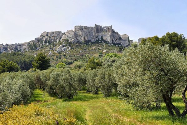 Quelles sont les responsabilités juridiques des dirigeants d'entreprise envers les actionnaires ?