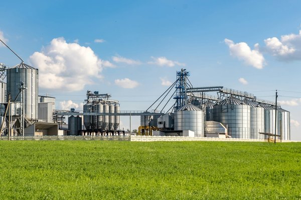 Comprendre la gestion commerciale en agroalimentaire